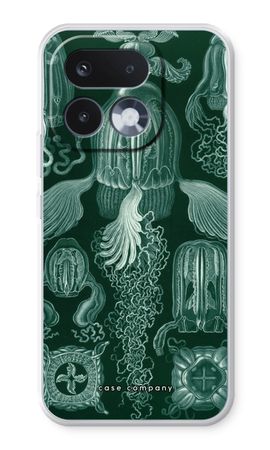 Haeckel Cubomedusae