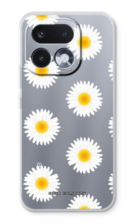 Daisies