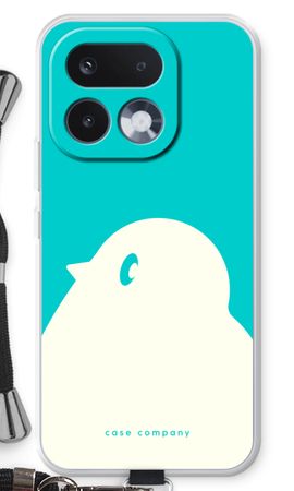 BIG Robin 2