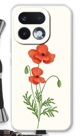 Red poppy