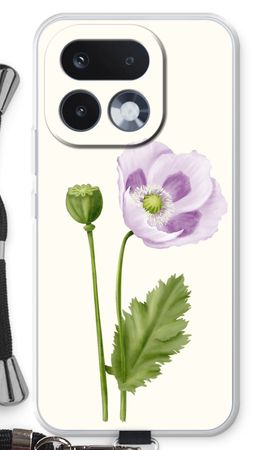 Purple poppy