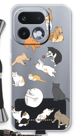 Cats