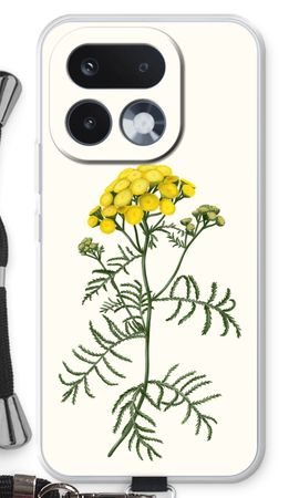 Tansy