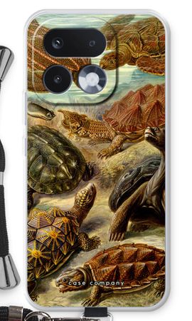 Haeckel Chelonia