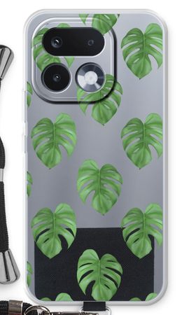 Monstera leaves