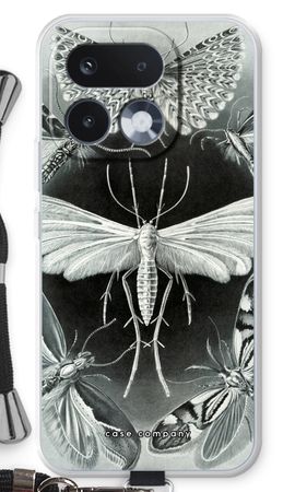 Haeckel Tineida