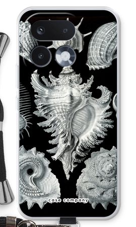 Haeckel Prosobranchia