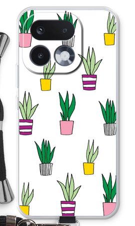 Sanseveria
