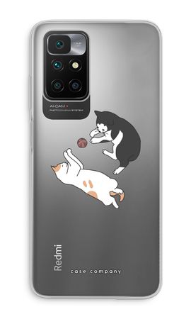 Spielende Katzen