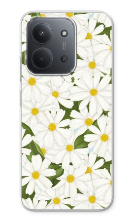 Summer Daisies
