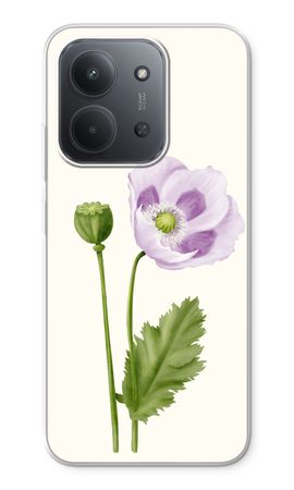 Purple poppy