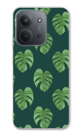 Monstera leaves