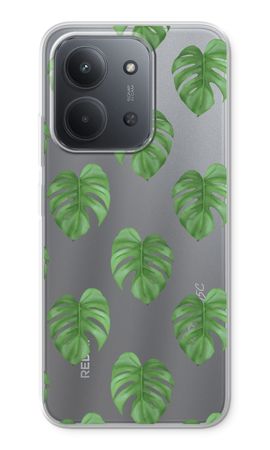 Monstera leaves