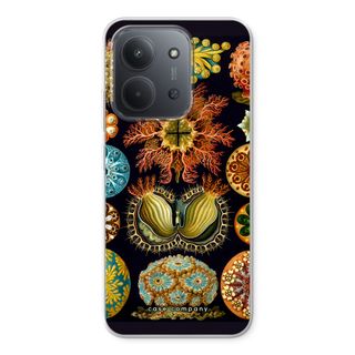 Haeckel Ascidiae
