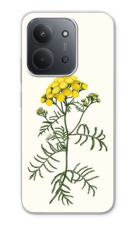 Tansy
