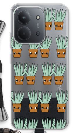 Sansevieria