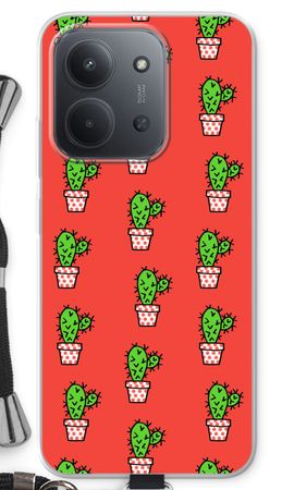Mini cactus