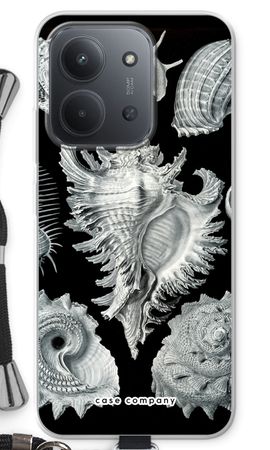 Haeckel Prosobranchia