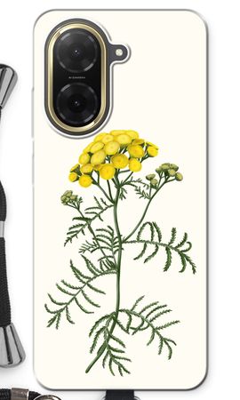 Tansy