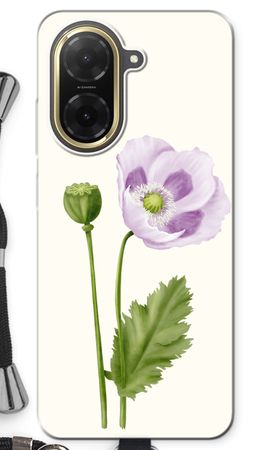 Purple poppy