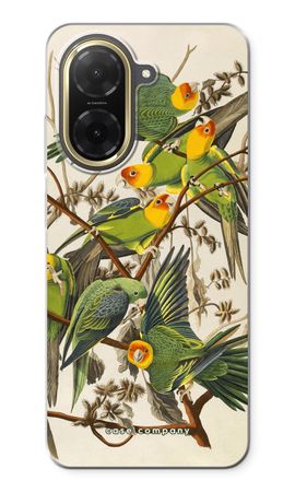 Carolina Parrot