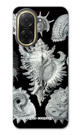 Haeckel Prosobranchia