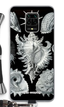 Haeckel Prosobranchia