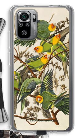 Carolina Parrot