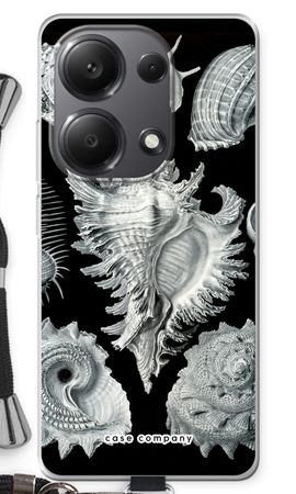 Haeckel Prosobranchia