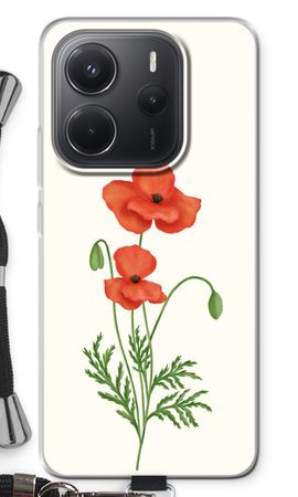 Red poppy