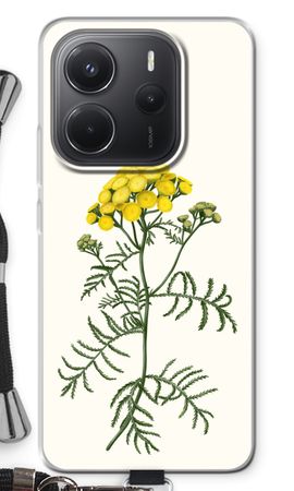 Tansy