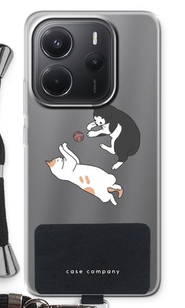 Playing cats