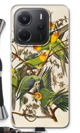 Carolina Parrot