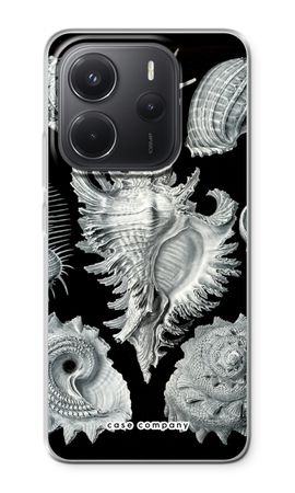 Haeckel Prosobranchia