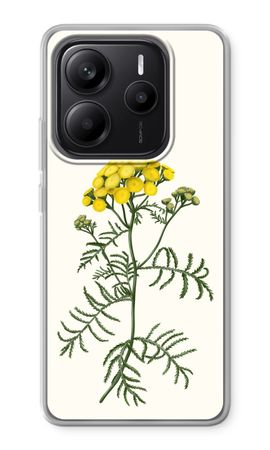 Tansy