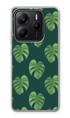 Monstera leaves