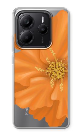 Orange Ellila flower