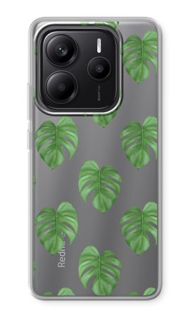 Monstera leaves