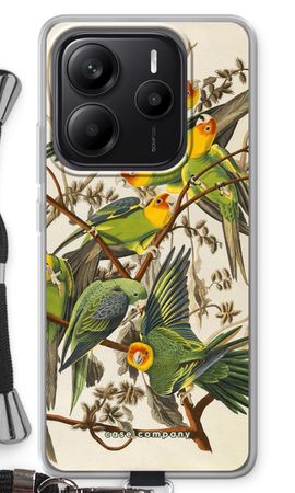 Carolina Parrot