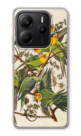 Carolina Parrot
