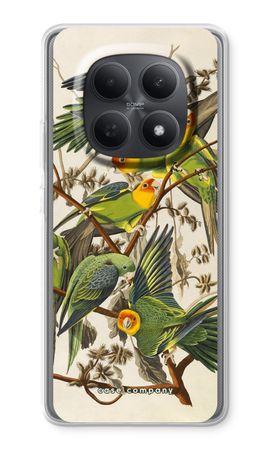 Carolina Parrot