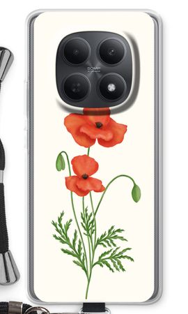 Red poppy