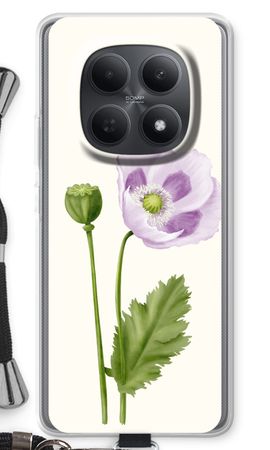 Purple poppy
