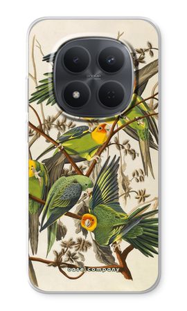 Carolina Parrot