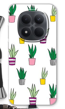 Sanseveria