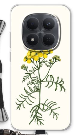 Tansy