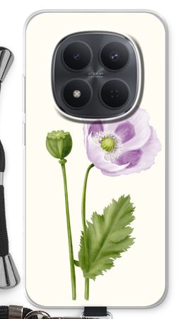 Purple poppy