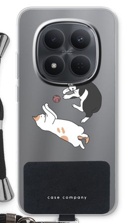 Playing cats
