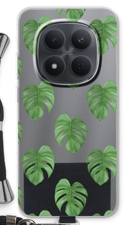Monstera leaves