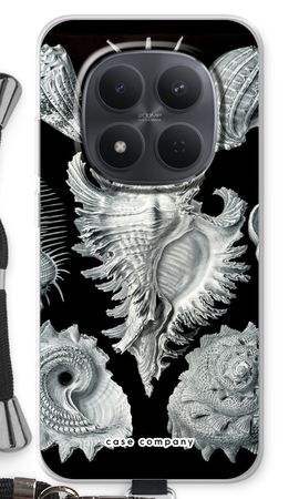 Haeckel Prosobranchia